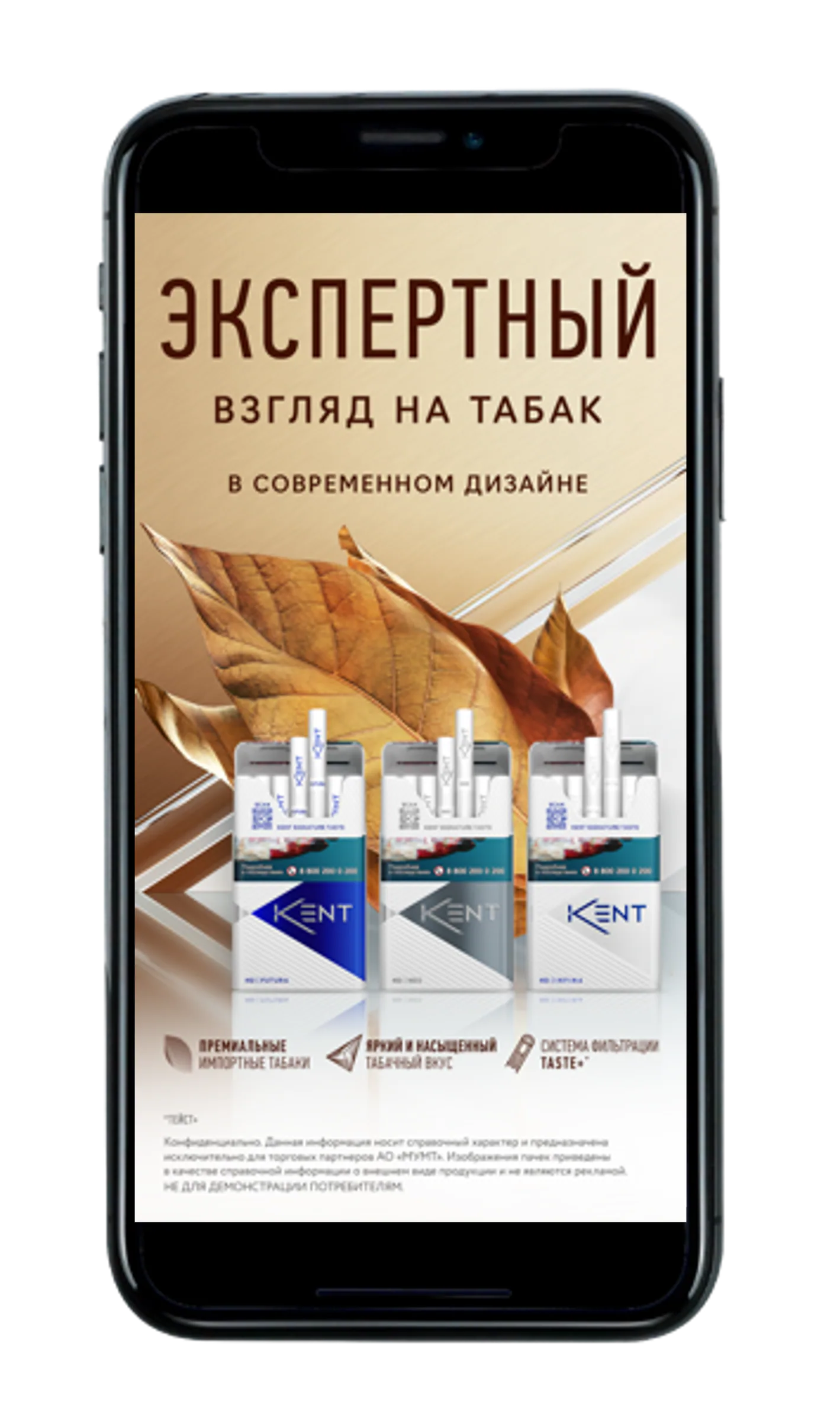 Kent Premium: Сторис