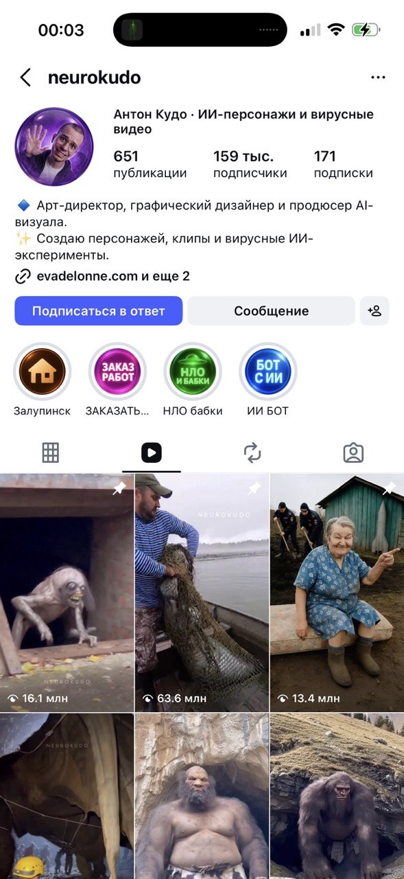 Сохранённый скриншот завершённого проекта Neurokudo