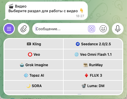 Меню видеомоделей с выбором Seedance 2.0/2.5